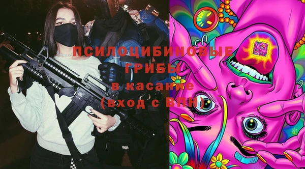 тгк Богданович