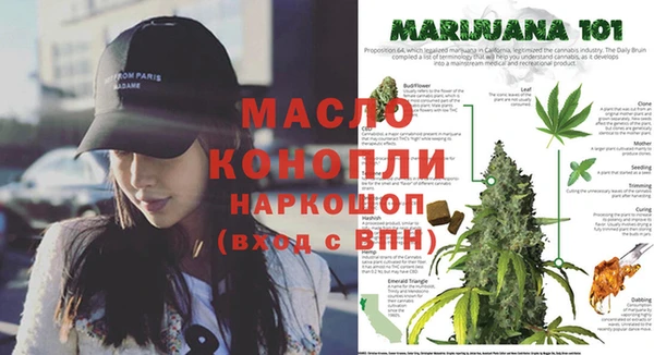 тгк Богданович