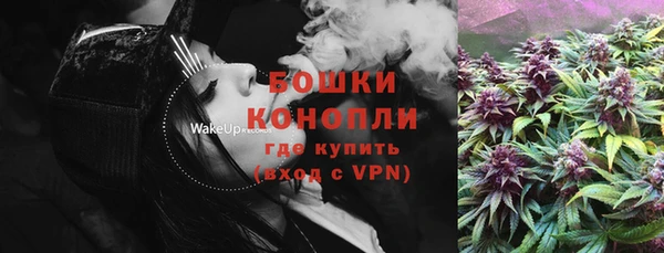 тгк Богданович