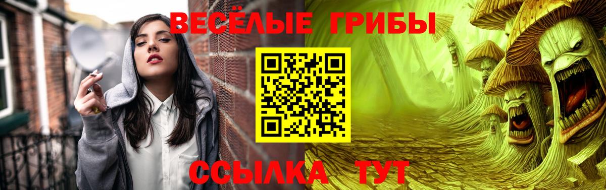Псилоцибиновые грибы MAGIC MUSHROOMS  Вход с VPN  Кушва 